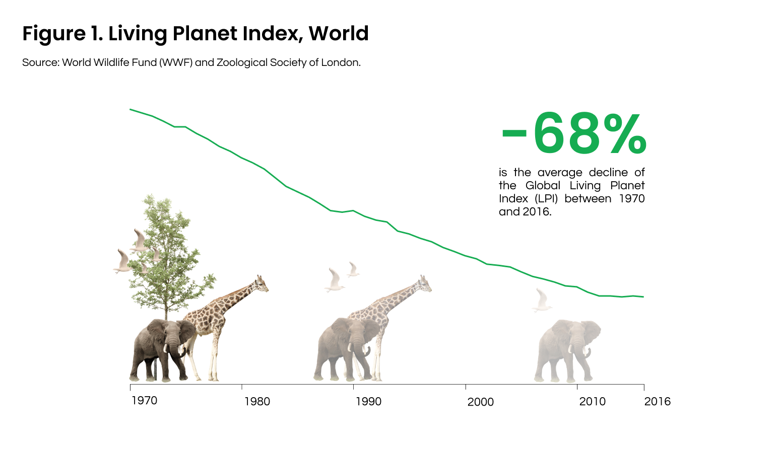 Why You Should Pay Attention To The Biodiversity Crisis